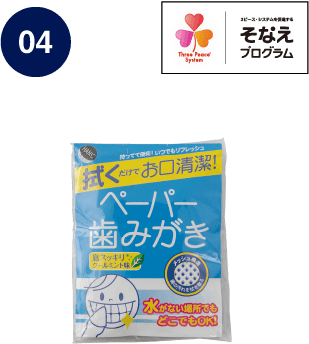 04 3ピース・システムを促進する そなえプログラム