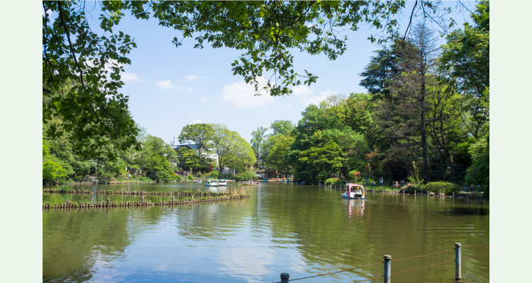 善福寺公園