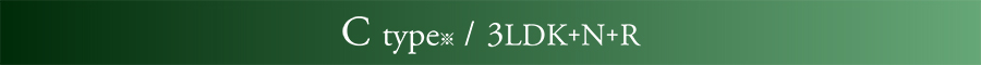 Plan C