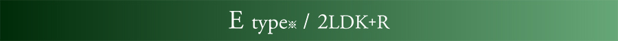 Plan E
