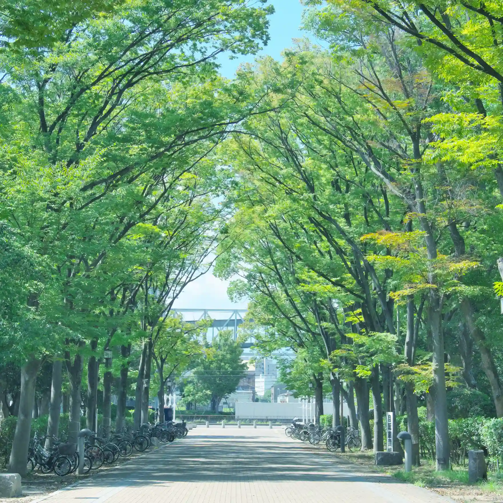 尼崎市記念公園（徒歩4分/約320ｍ）