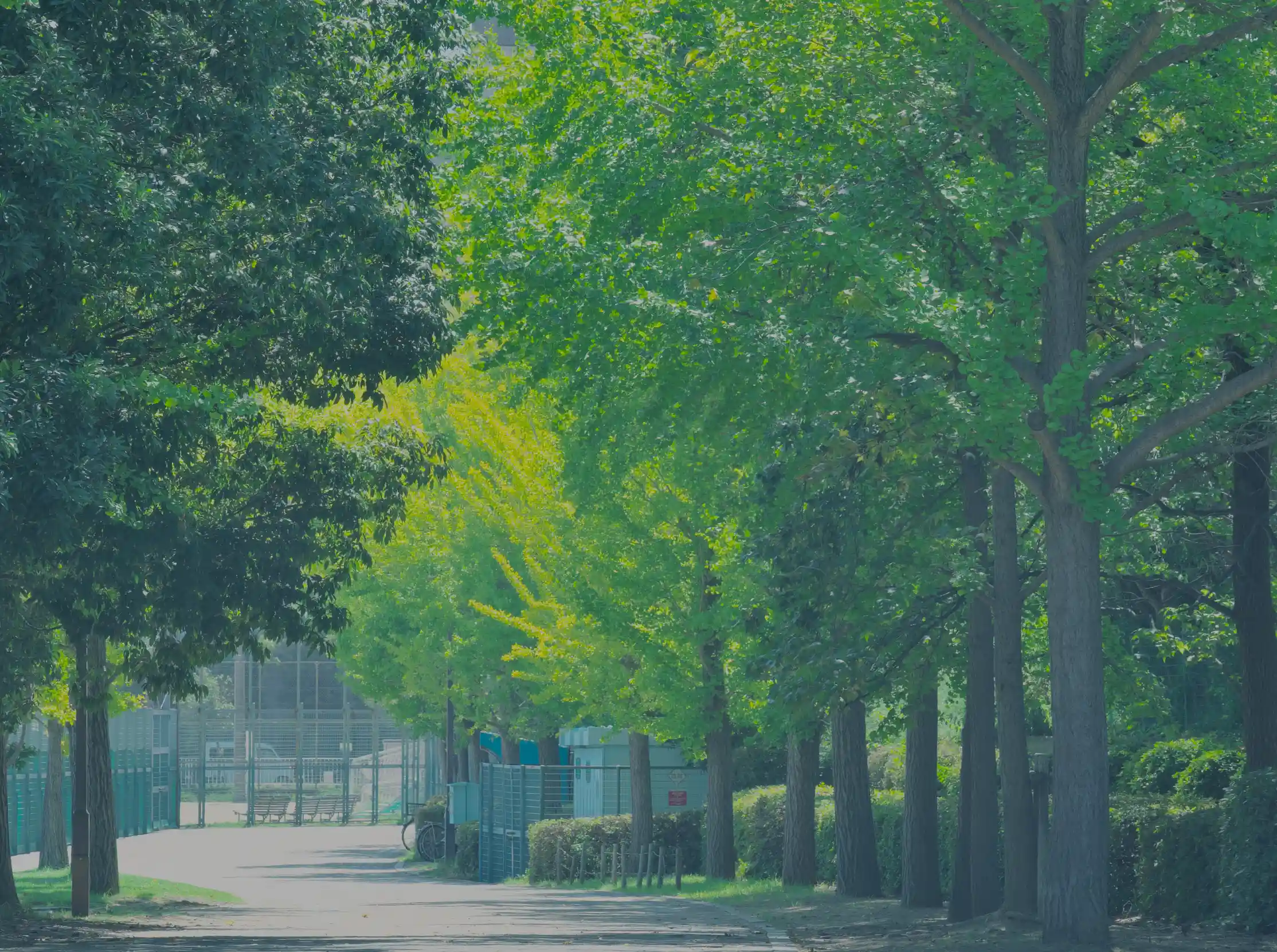 尼崎市記念公園（徒歩4分／約320ｍ）