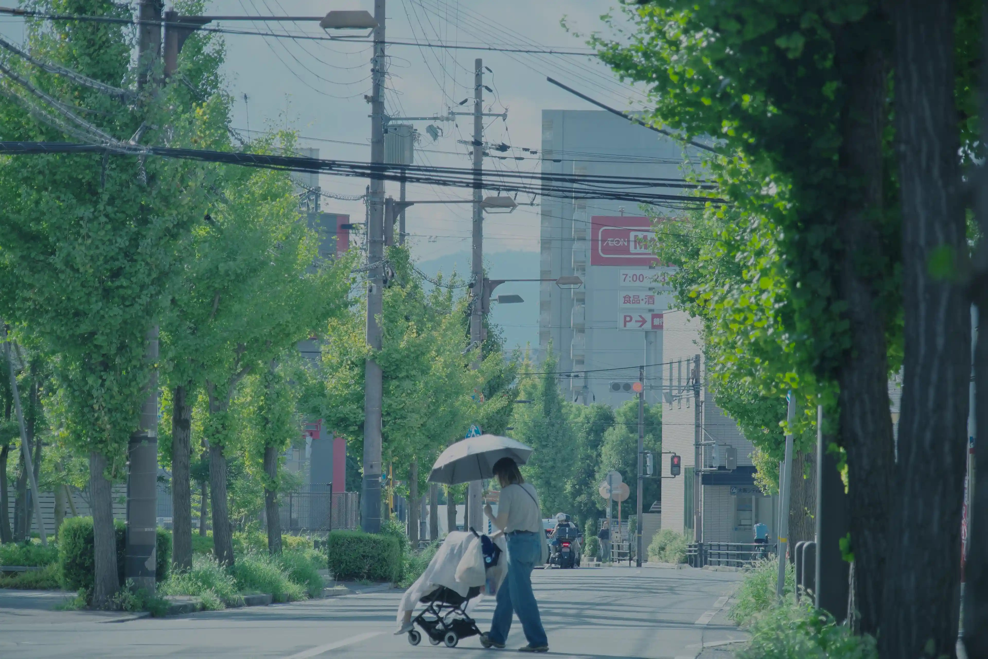 image photo
