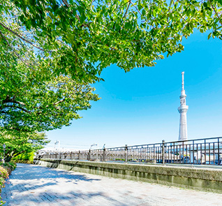 SUMIDA AREA
