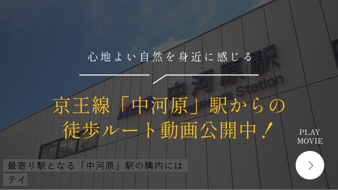 徒歩ルート動画