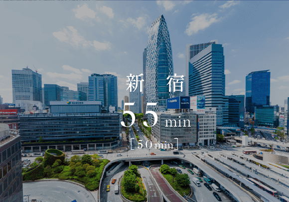 新宿Direct55min［50min］